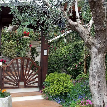Il Vecchio Mulino