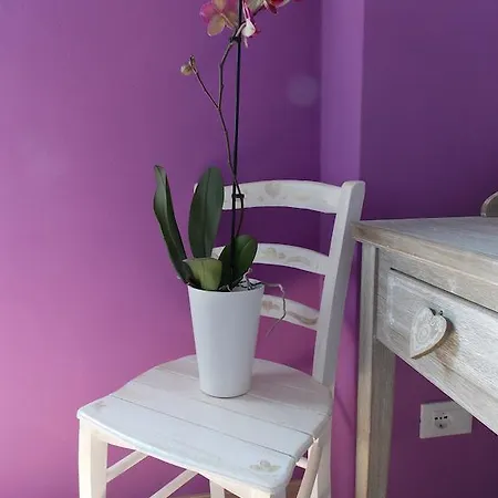 Apartament Il Vecchio Mulino *